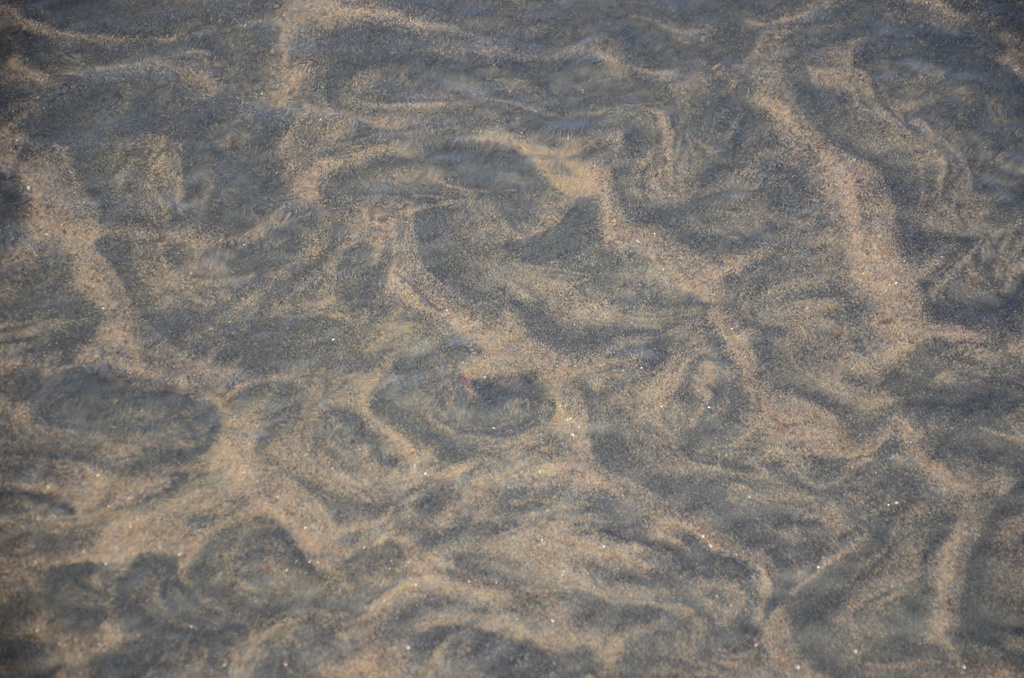 2017-03 New Zealand/Auckland Centenial Park/DSC_0014.JPG